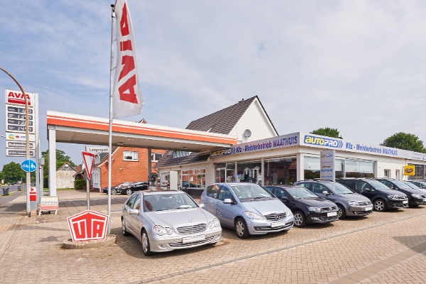 Bild 1 von Fahrzeuge Maathuis